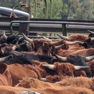 Meet your Posher, Deanna